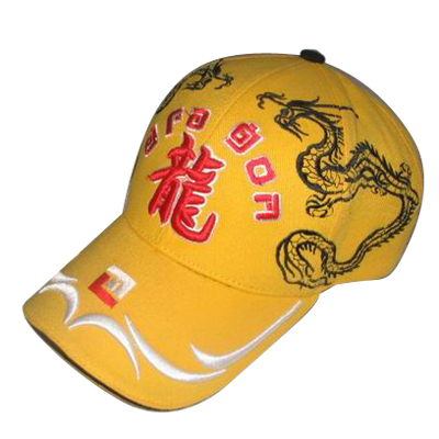 Fashion Fitted Baseball Cap with Flat Peak (NE020)