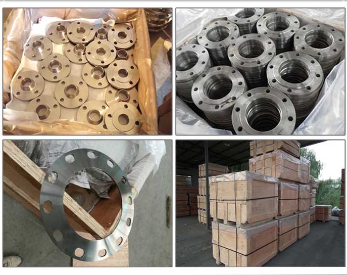 OEM Forged Carbon Steel Wn Flange