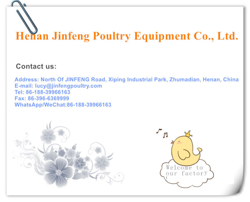 Poultry Equipment Cage with Low Price