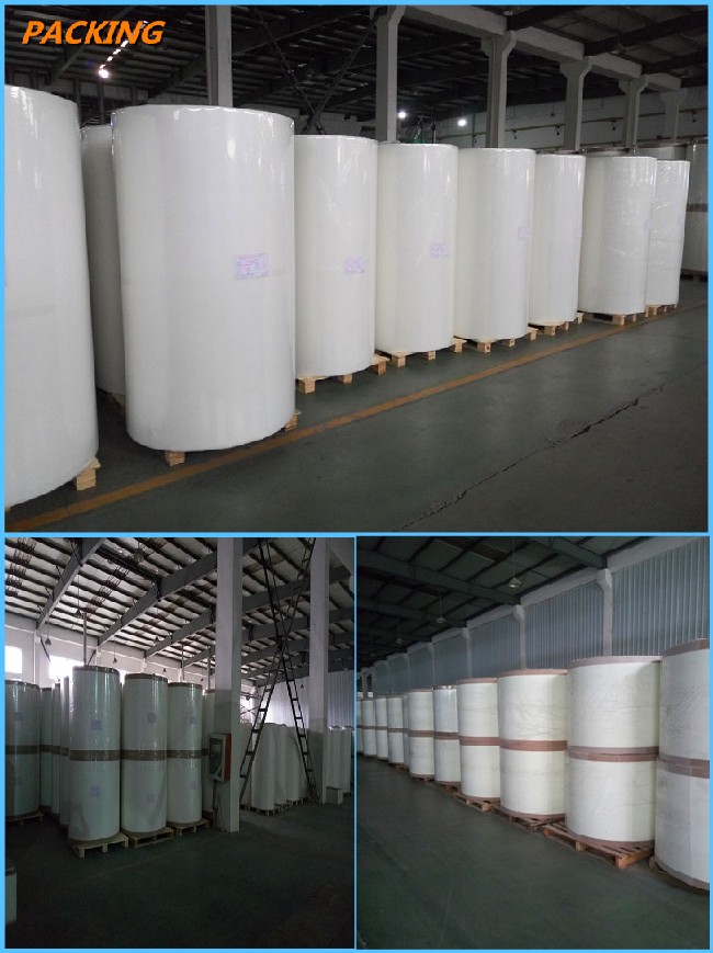 Corrosion Resistance 30GSM C Glass Tissue for Pipe Winding