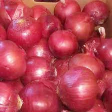 Supply The Fresh Red Onion with Lowest Price in Good Quality