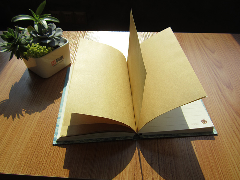 Summy Recycled Kraft Paper Journal Notebook Blank (XLJ32112-X06)