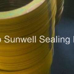 Spiral Wound Gasket Rings, Ss304 Rings ASME B16.20 (SUNWELL)