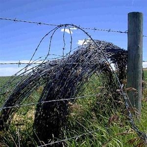 Hot-Dipped Galvanized Barbed Wire for Fence