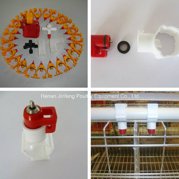 Automatic Feeding System for a H Frame Layer Broiler Cage Syetem