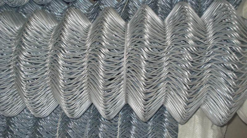 Wire Mesh Fence---Chain Link Fence