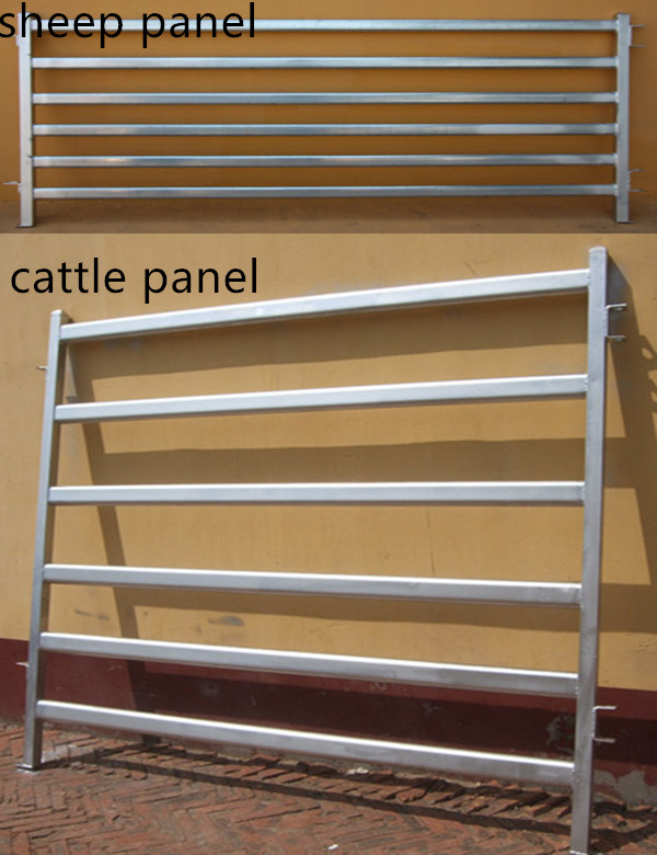 Used Cattle Panels (with ISO9001 & SGS)