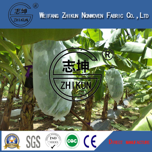 PP Nonwoven Fabric for Agriculture Cover