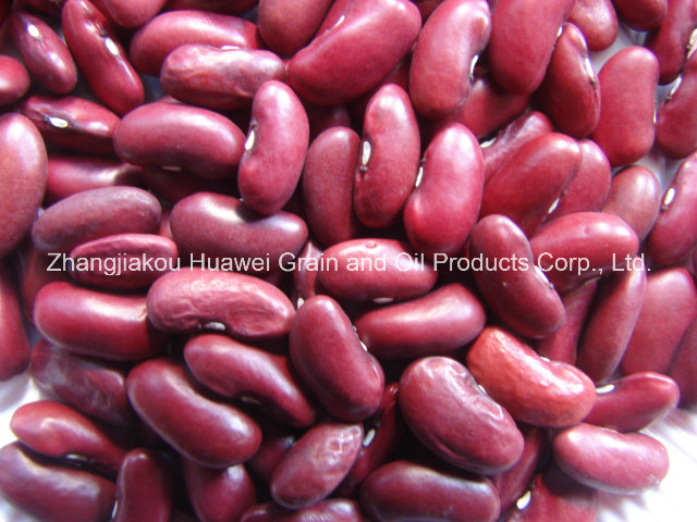 The British Red Kidney Bean