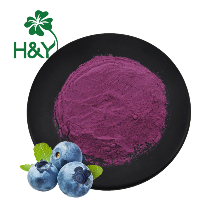 freeze dried blueberry powder