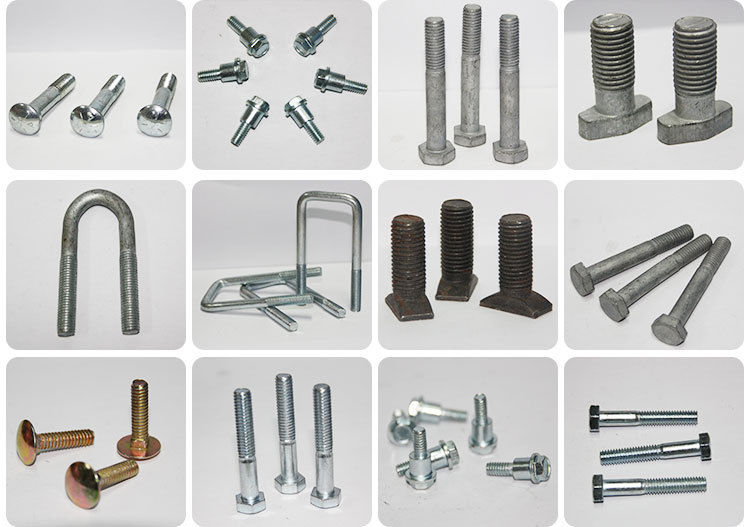 Customized Zinc Plated Stainless Steel U Bolts Galvanized Threaded Bolt Stainless Steel U Bolt