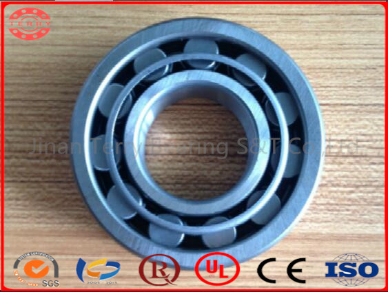 The High Speed Cylindrical Roller Bearing (NJ1018EM)