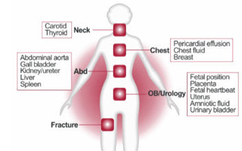 C-Scan Handheld Touch Screen Color Ultrasound