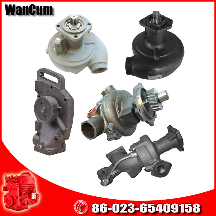 Original and Reasonable Price Cummins Diesel Engine Part Water Pump