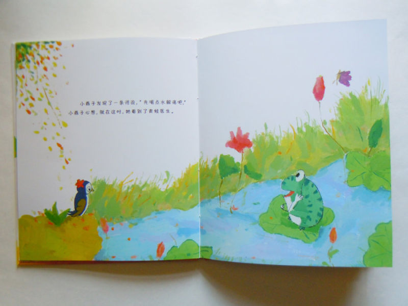 Laminated Children Color Book Printing /Water Visible Book with Thin Sheets