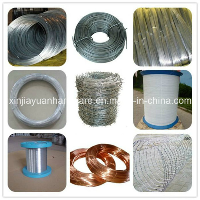 Hot DIP Galvanized Vineyard Wire for Vineyard Trellis