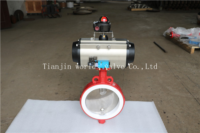 Split Body Wafer Type Butterfly Valve with Polishing Disc (CBF04-TA01)