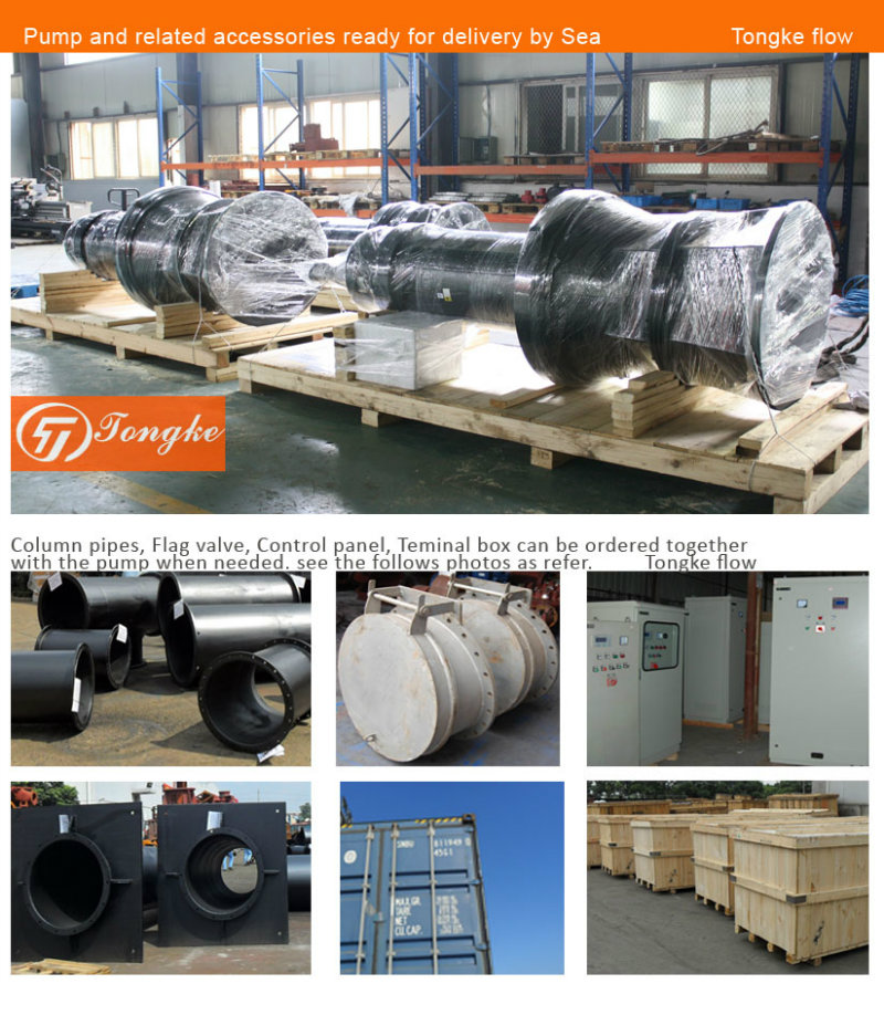 Vertical Axial Flow and Mixed Flow Submersible Sewage Pump