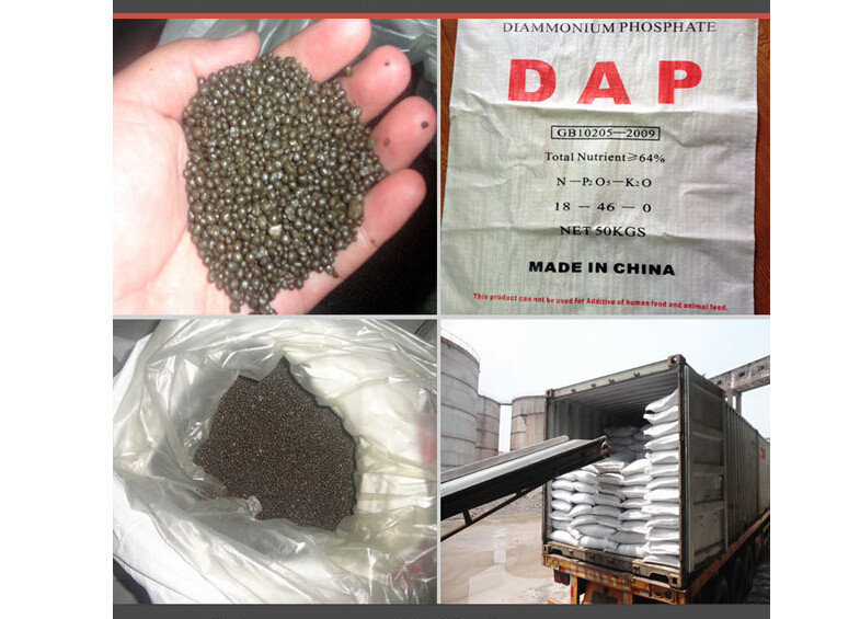 Diammonium Phosphate (DAP 18-46-0)