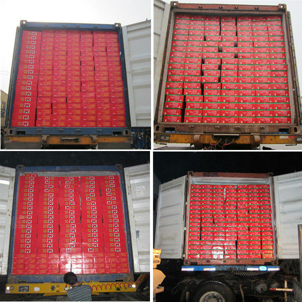 OEM Brand Canned Tomato Paste of All Sizes 70 G to 4.5kg