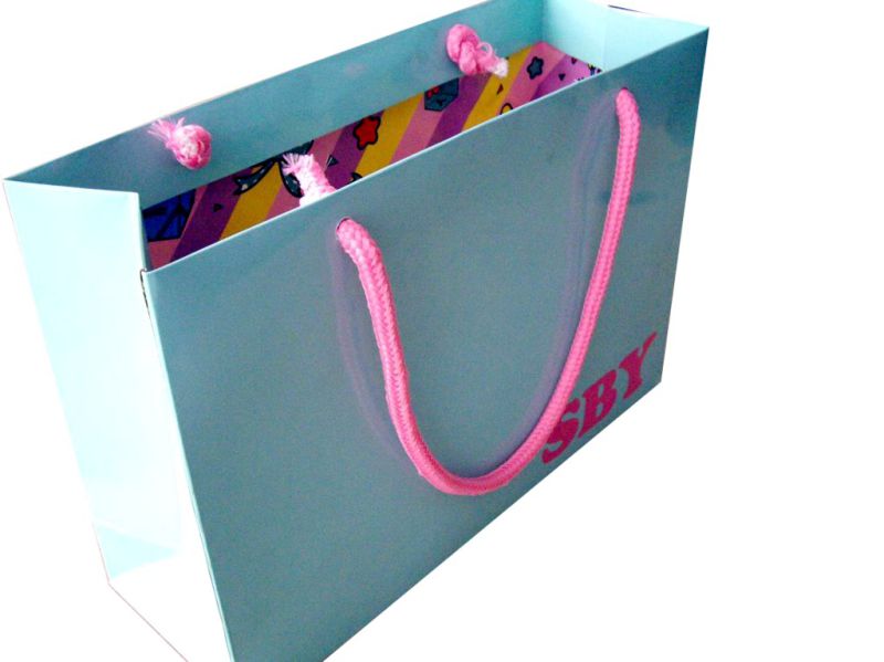 Direct Factory Machine Made Luxury Custom Paper Bag