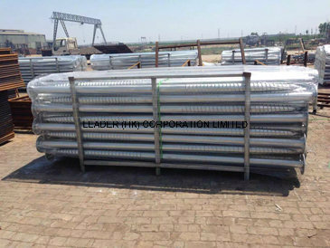 High DIP Galvanized Ground Screw for Solar Mounting