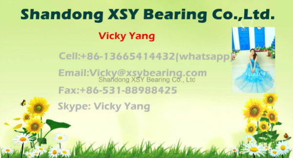 Xsy 7210c/7210AC Angular Contact Ball Bearing