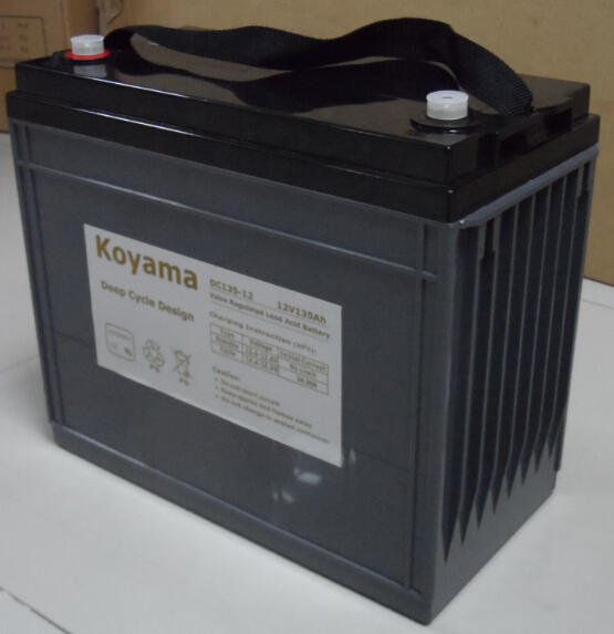 12V 135ah Deep Cycle AGM Battery for Emergency Lighting & Solar