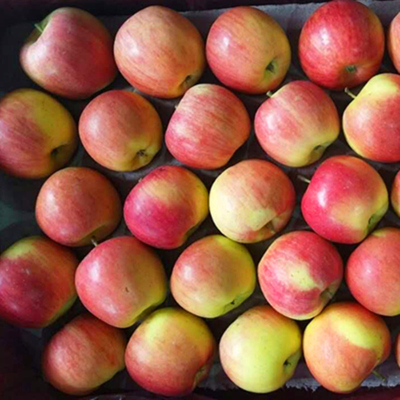 Seasonal Hua Guan Apples