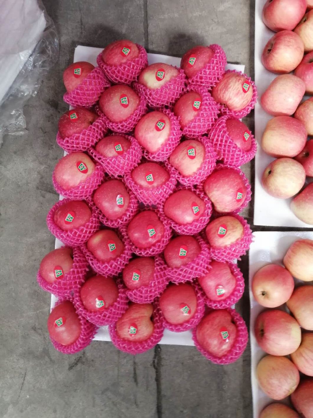 Fresh Apple Fruits