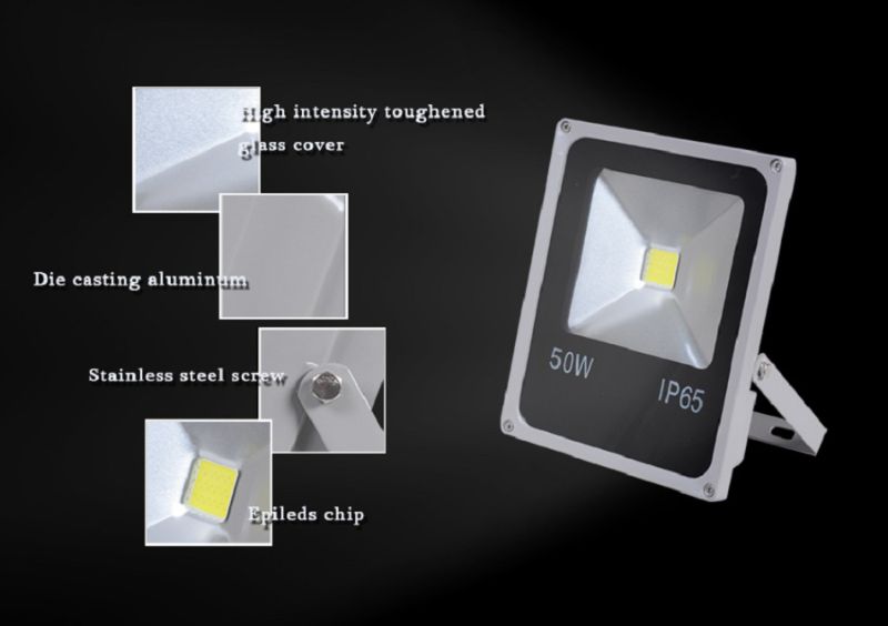 Outdoor 50W LED Flood Light with CE RoHS (PJ1111)