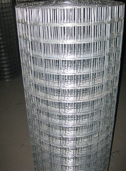 Hot Dipped Galvanzied Welded Wire Mesh