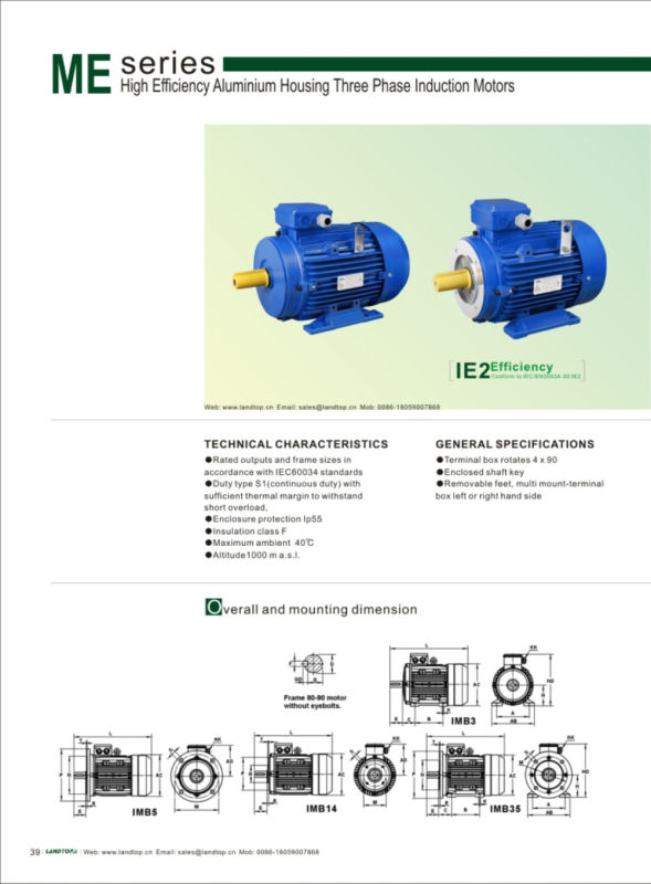 IE2 Standard High Efficiency Aluminum Housing Three-Phase AC Motor