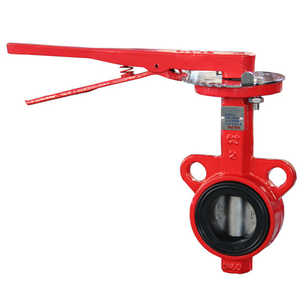 2 Inch Wafer Butterfly Valve