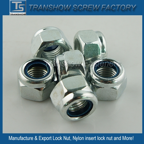 Good Quality Class8 Nylon Insert Lock Nut