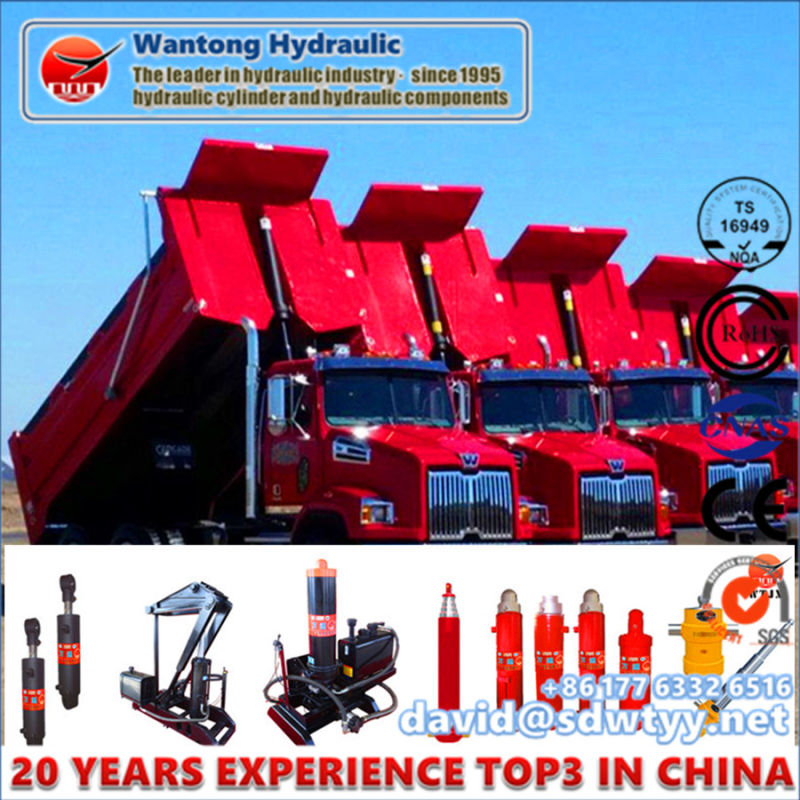 Hot Sale Hydraulic Cylinder for Dump Truck/Trailer