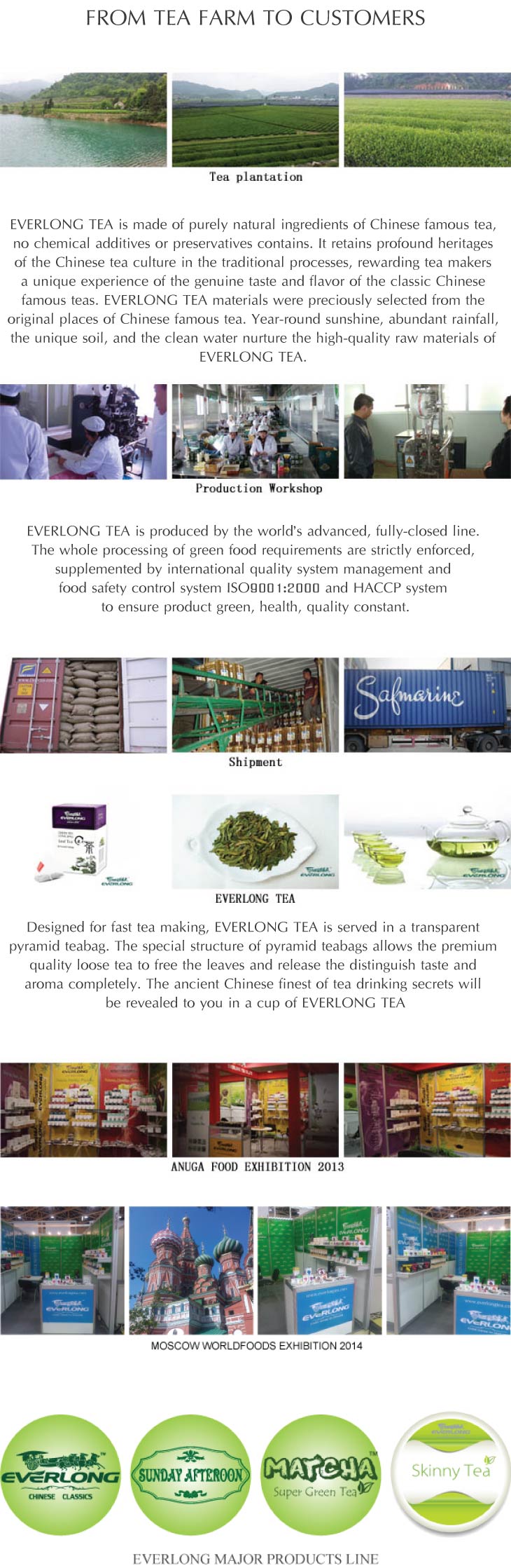 Chinese Famous Green Tea Dragon Well Lung Ching Longjing (S2)