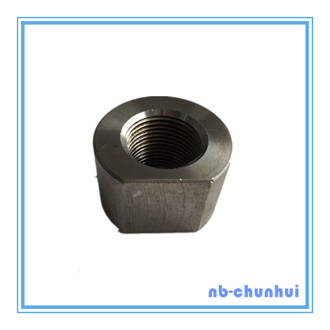 Hex Nut Non Standard Nut-M24~M80