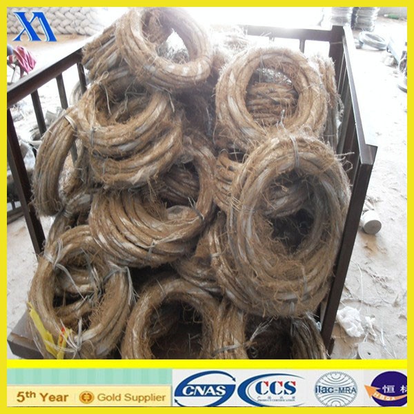 Bwg 21 Electro Galvanized Iron Wire (XA-GW010)