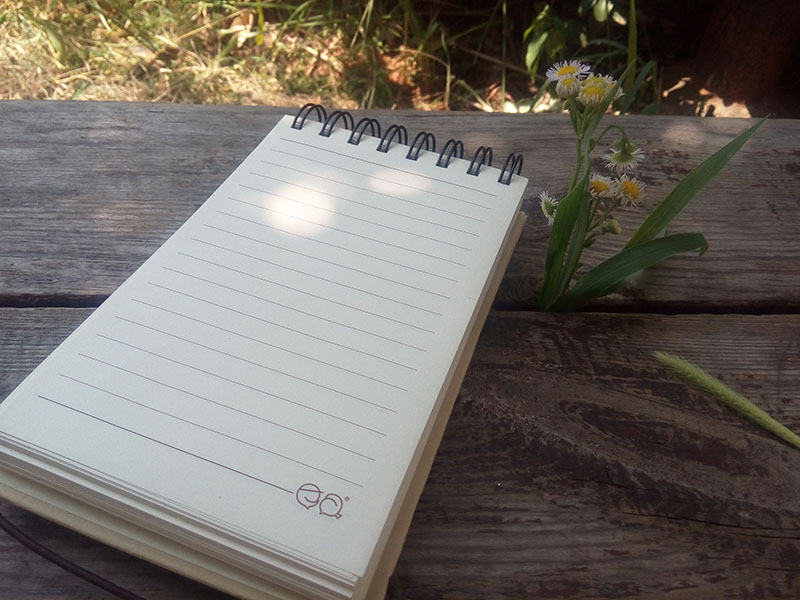 Cheap Mini Spiral Paper Notebook for Promotion (42K)