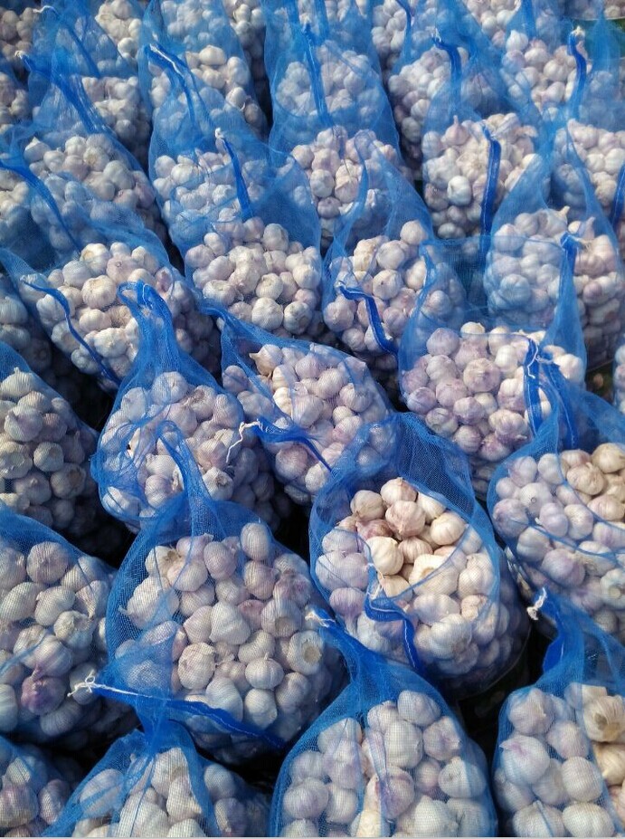 New Crop Chinese White Garlic