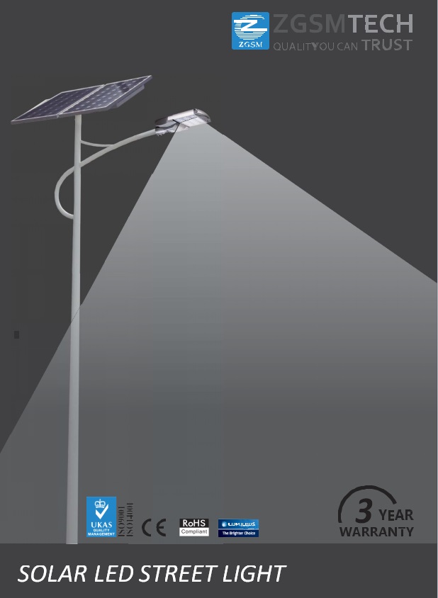 100W Wind Solar Hybrid Street Light