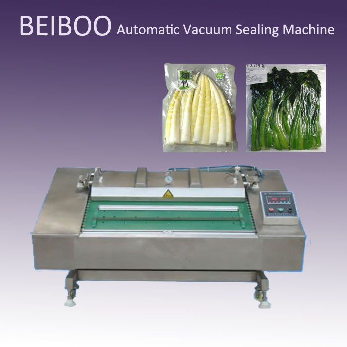 Automatic Continuous Vacuum Sealing Packaging Machine (DZ1000)