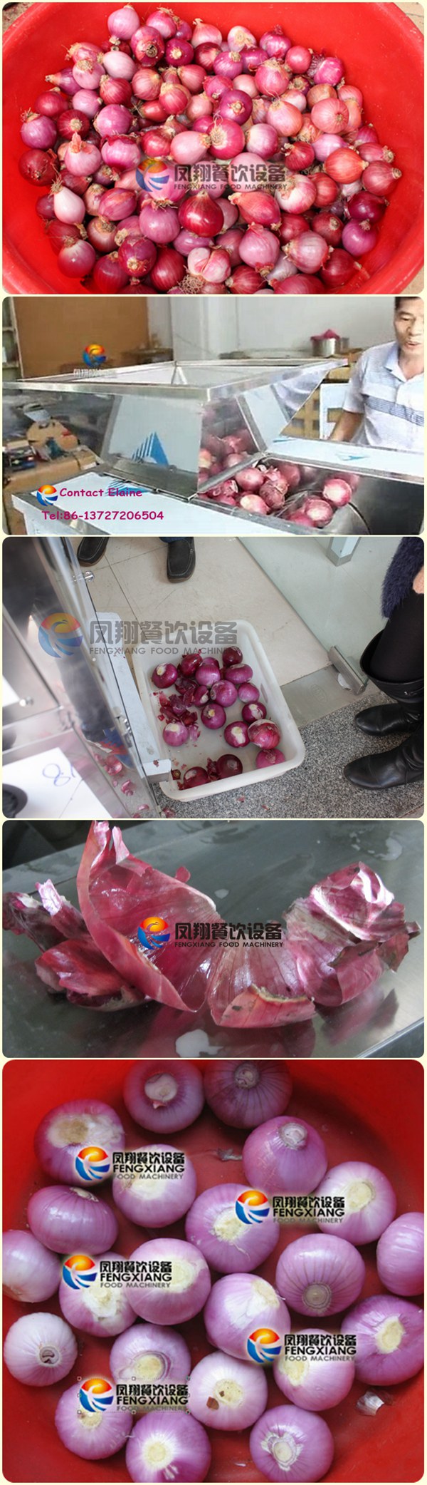 Onion Skin Peeler Peeling Machine, Onion Stripper, Onion Skin Remover Removing Machine with Ce Approved