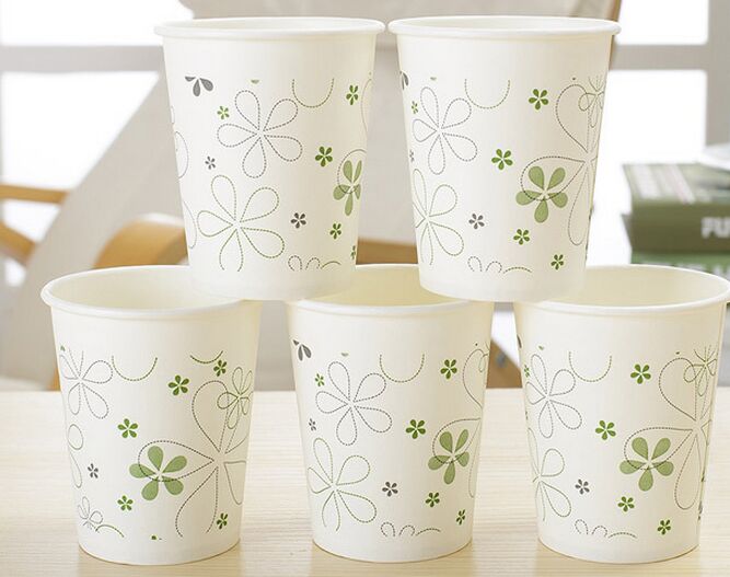 8oz/12oz Disposable Single Wall Cup, Party Series Paper Cup