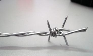 Electro-Galvanized Barbed Wire