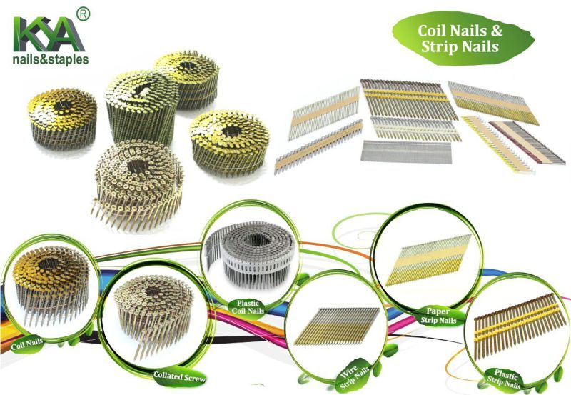 15 Degree Plastic Sheet Coil Nails