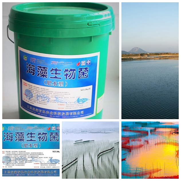 bio water treatment agent for fishing