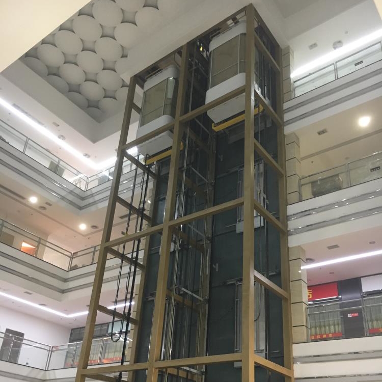 450kg Easy Install Glass Sightseeing Home Elevator Lift