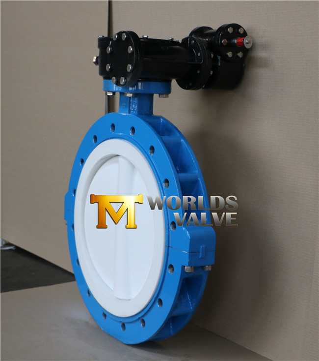 PTFE Lining Lug Typesplit Body Butterfly Valve with Ce ISO Wras Approved